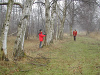 Gravingen Natuurworkshop